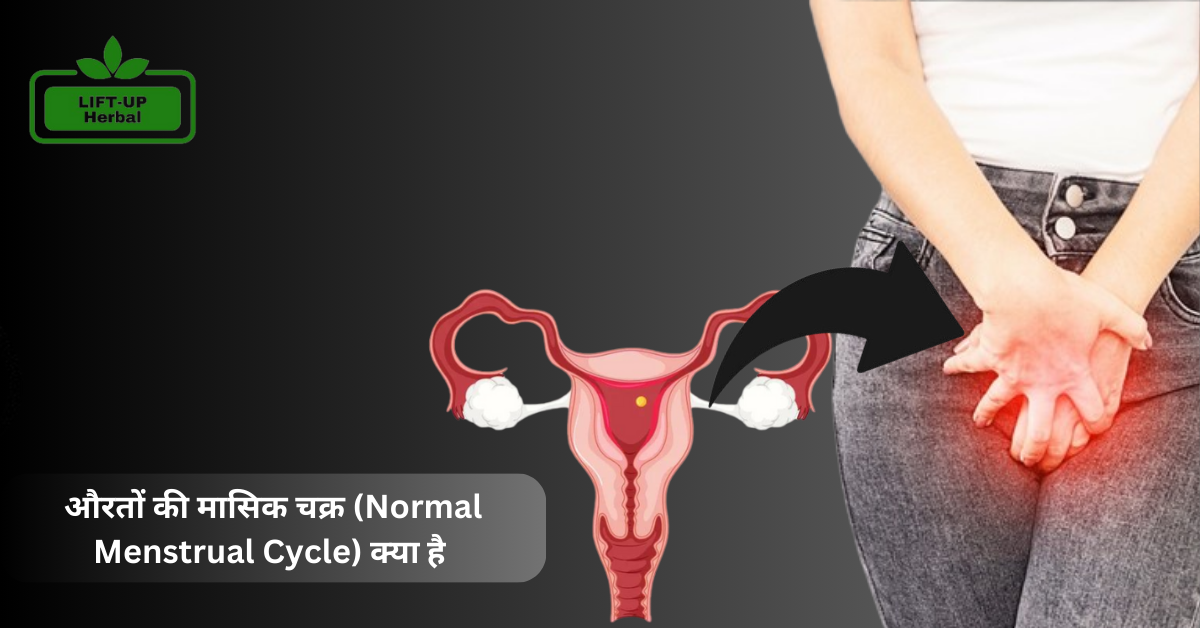 Normal Menstrual Cycle